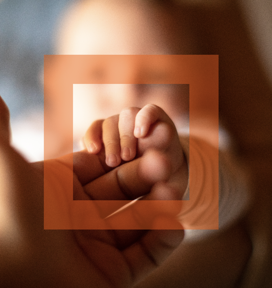 baby holding guardians hand with orange square around them both
